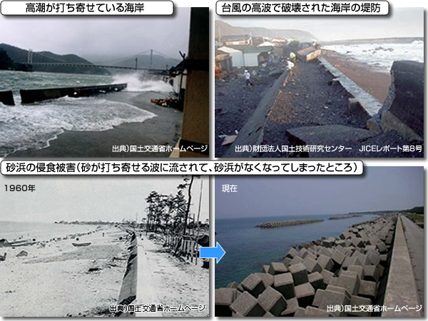 写真 海岸